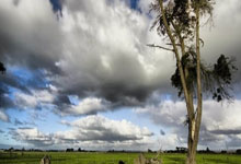 三亚市天涯社区：阳光沙滩海景房的理想家园