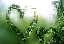 儋州人的真实声音：天涯社区论坛上的生活点滴